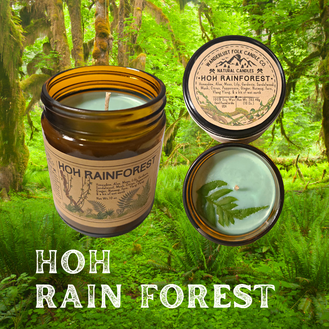 Hoh Rain Forest | PNW Washington State