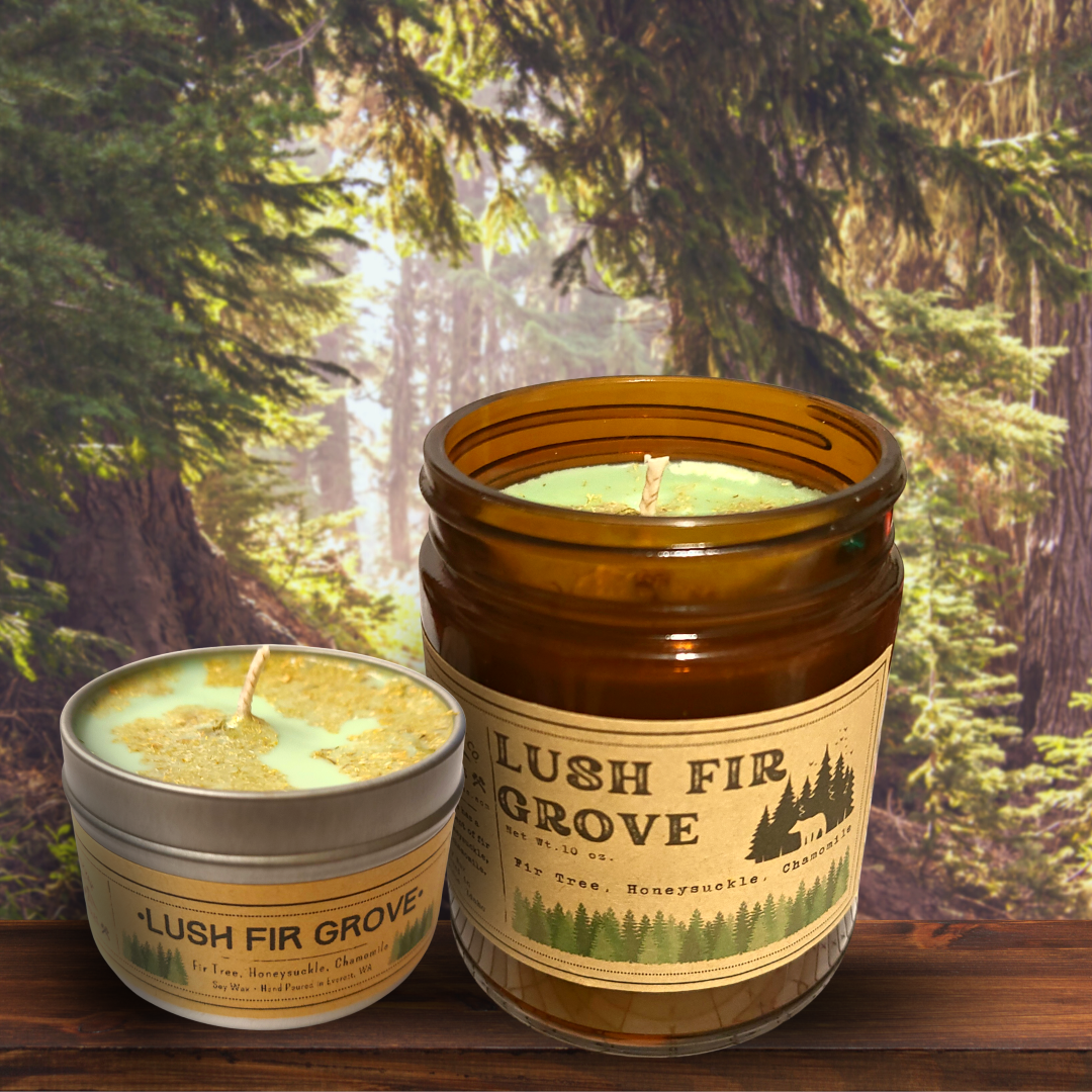 Lush Fir Grove