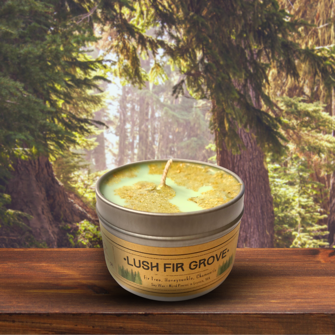 Lush Fir Grove