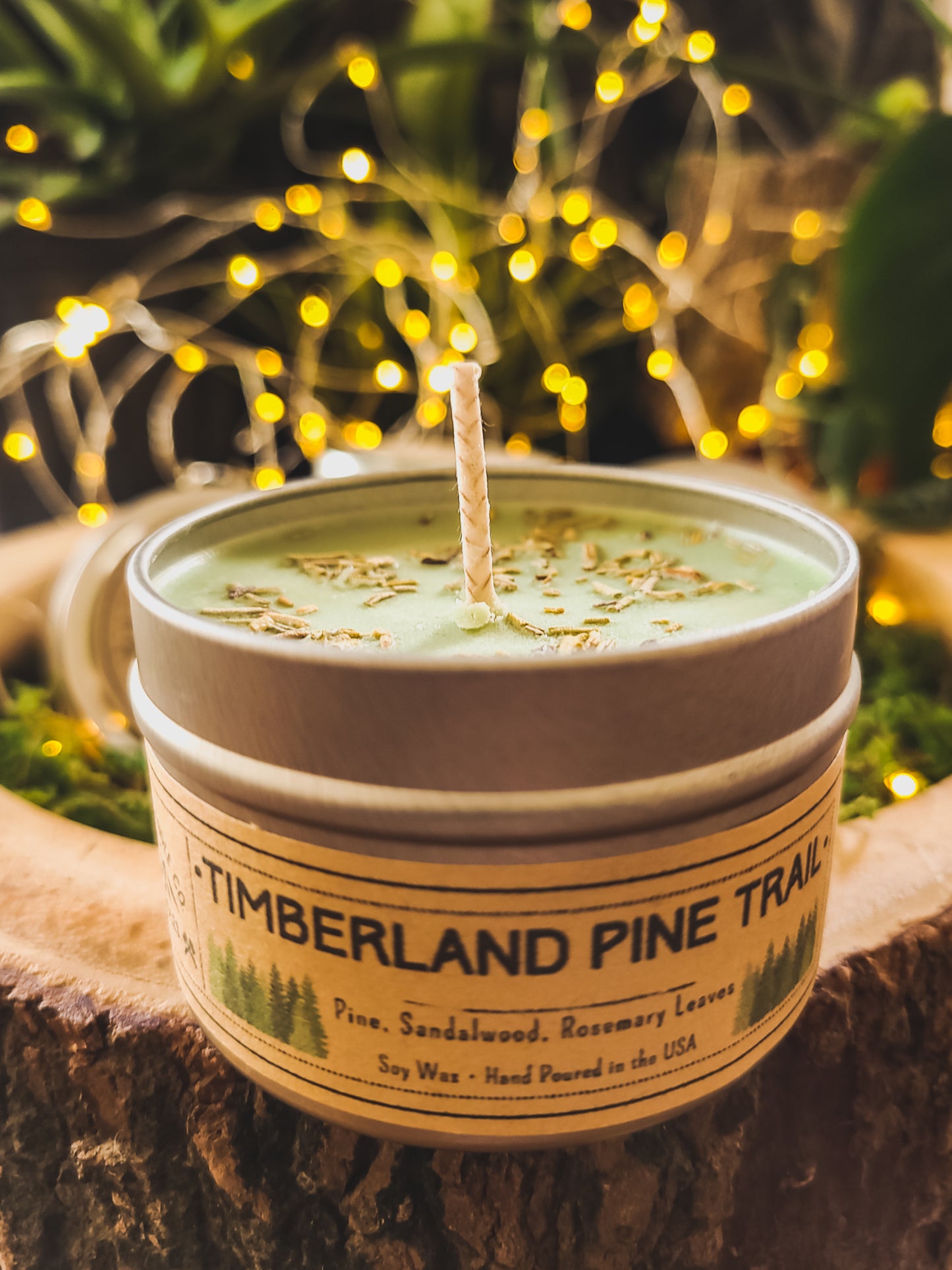 Timberland Pine Trail