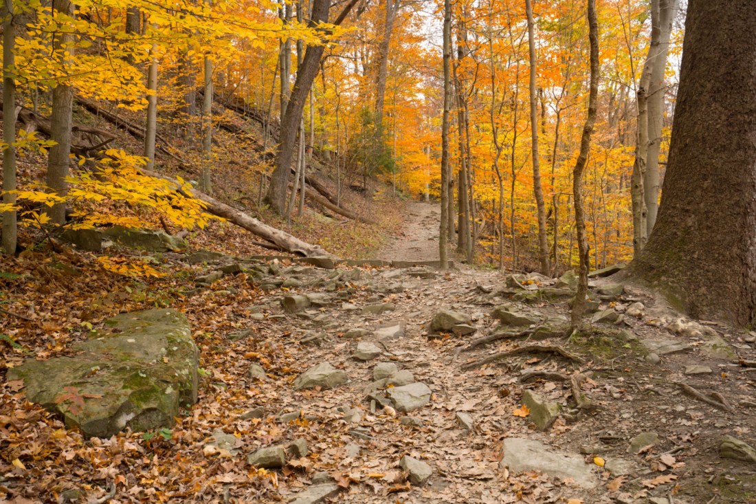 Cuyahoga Valley | National Parks | Autumn Candle | Ohio