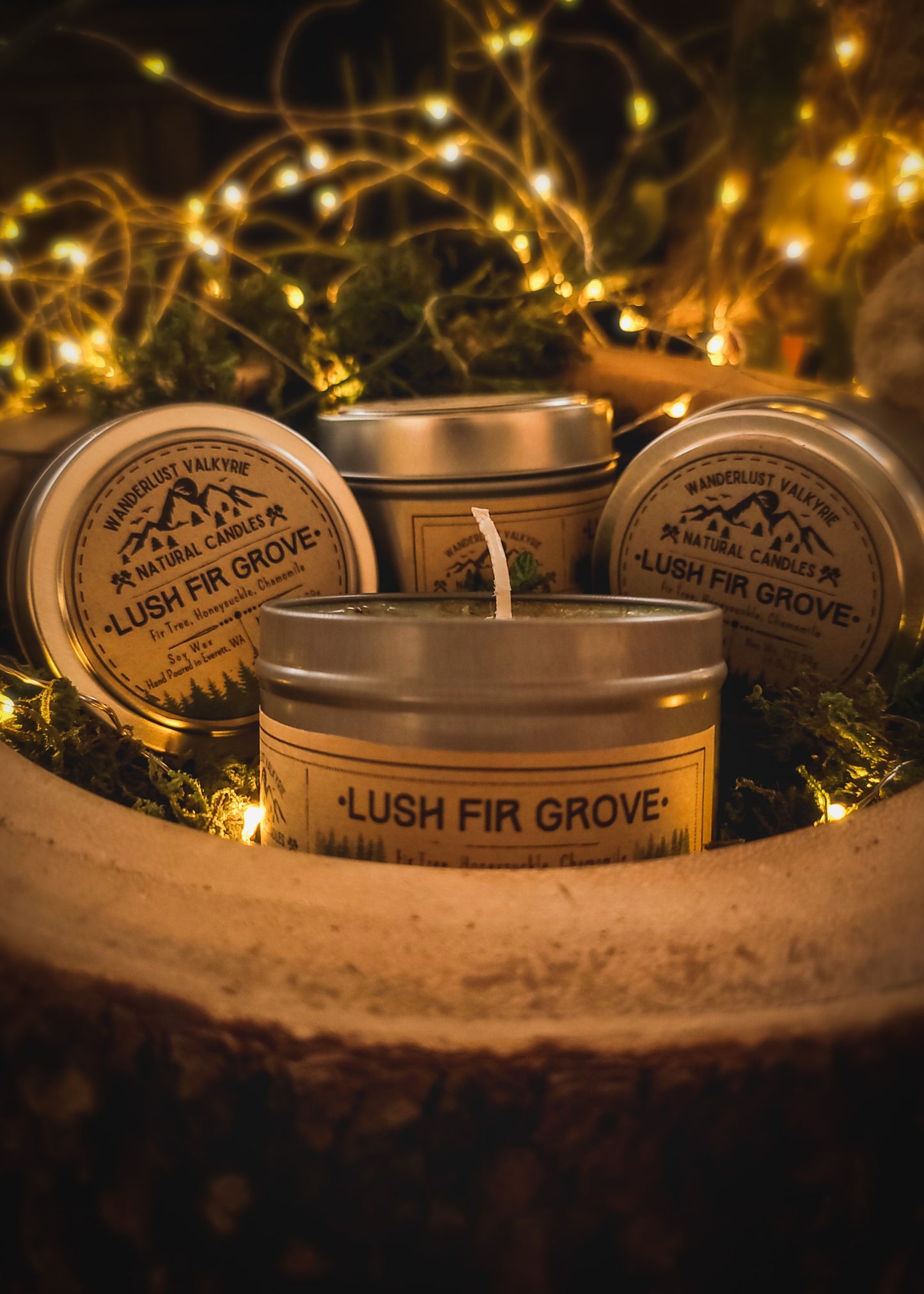 Lush Fir Grove