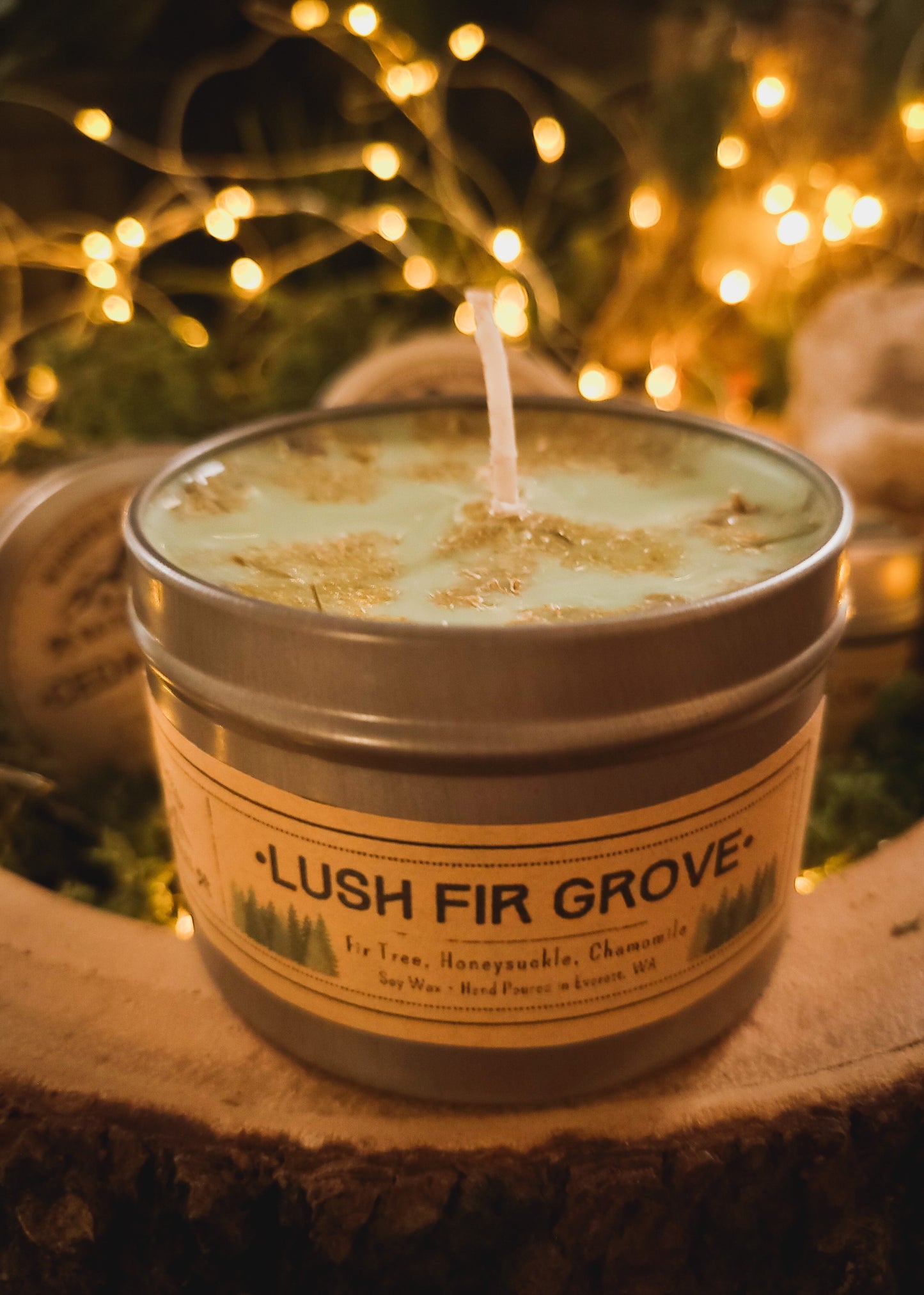 Lush Fir Grove