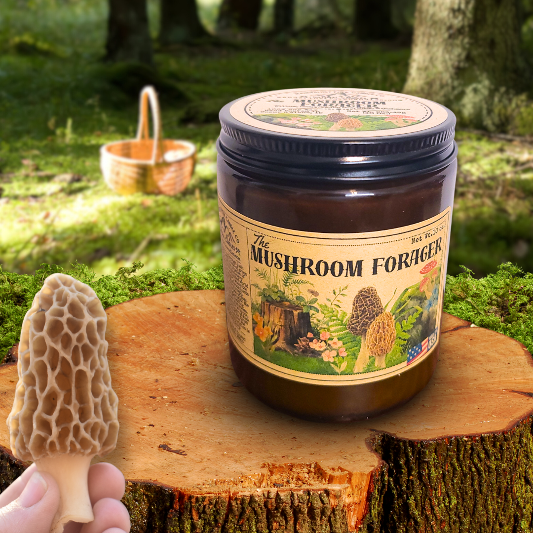The Mushroom Forager | Spring Candle