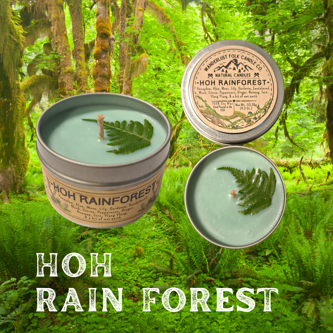 Hoh Rain Forest | PNW Washington State