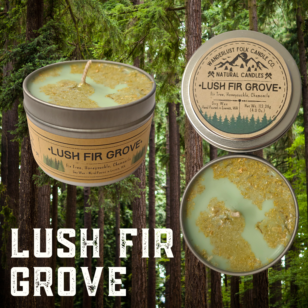 Lush Fir Grove