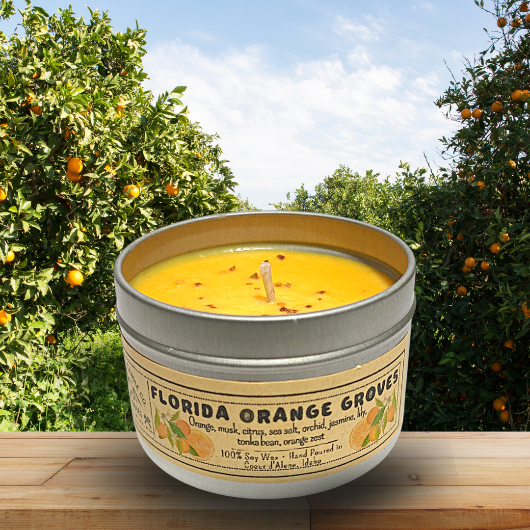 Florida Orange Groves | East Coast Candle
